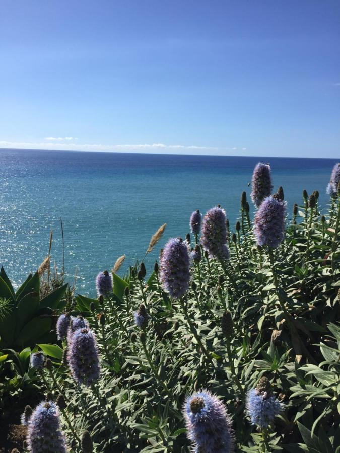 Calheta Ocean View Family Apartment - Air Condition Estreito Da Calheta ภายนอก รูปภาพ